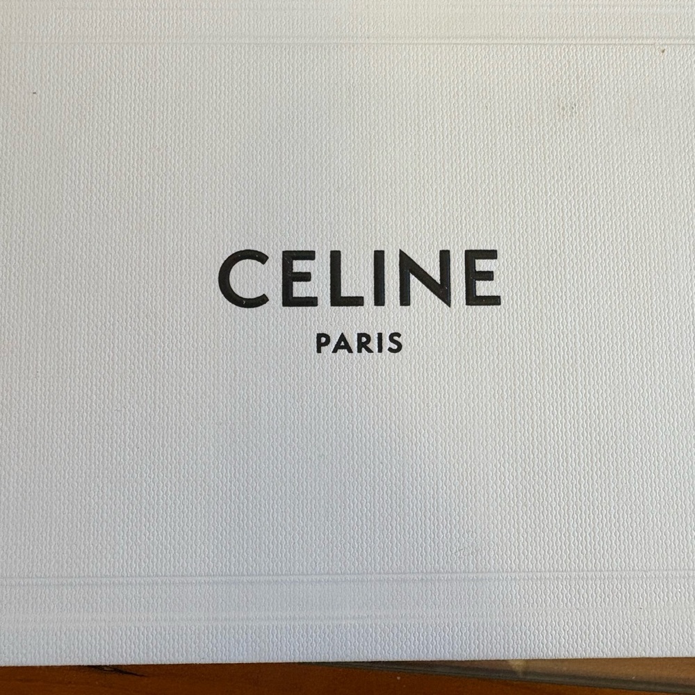 Celine Triomphe 01 Sunglasses in Acetate - Picture 15 of 15